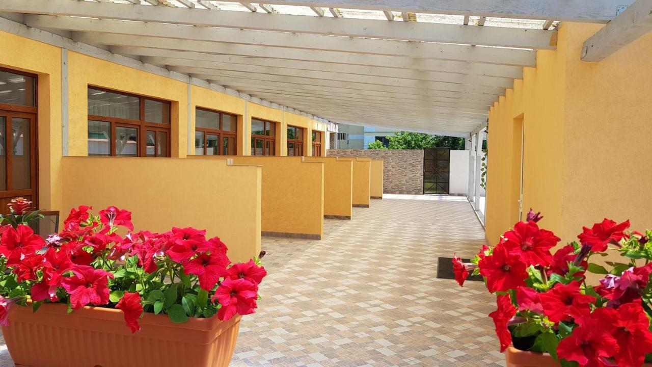 מלון בראשוב Resting House מראה חיצוני תמונה